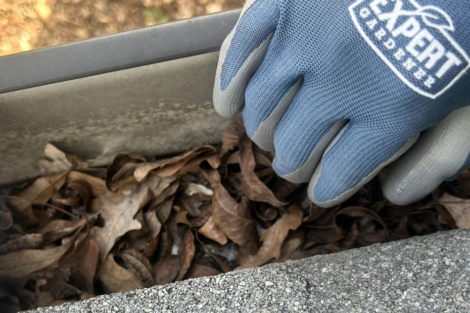 Rockford Gutter Cleaning