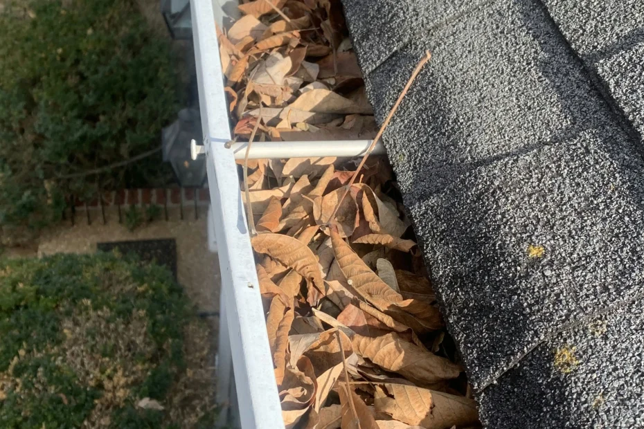 Rockford Gutter Cleaning