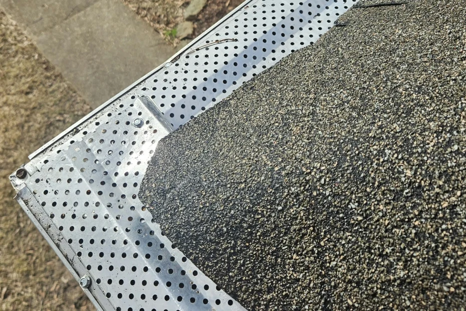 Rockford Gutter Cleaning