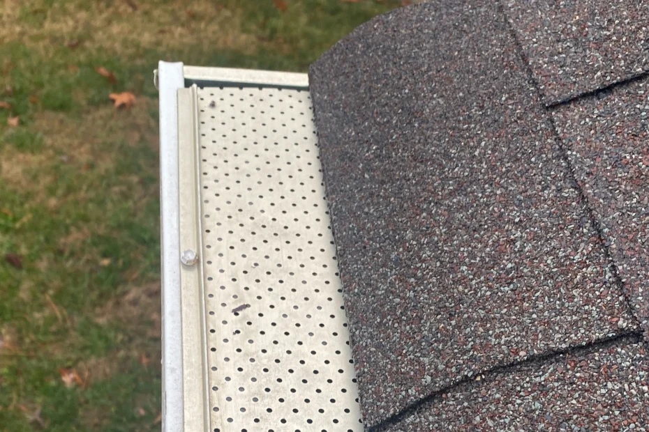 Rockford Gutter Cleaning