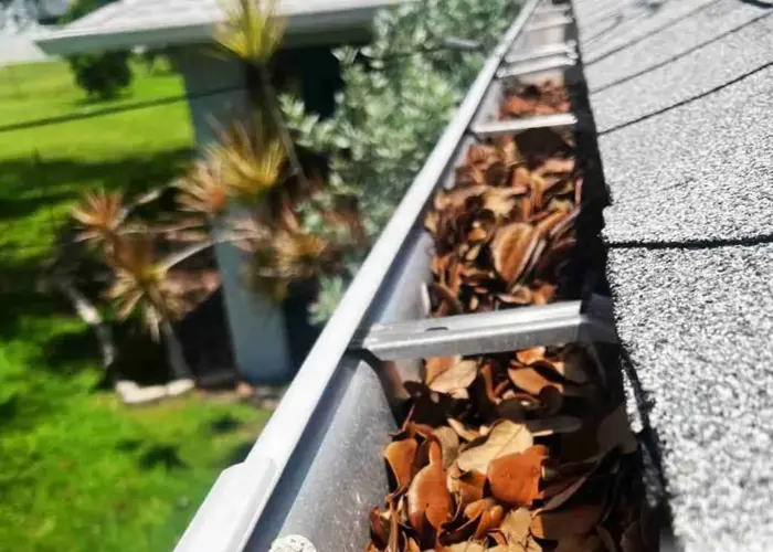 Rockford gutter cleaning home page